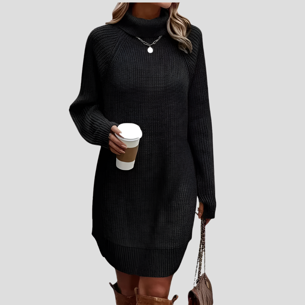 Frances | The Roll Neck Dress