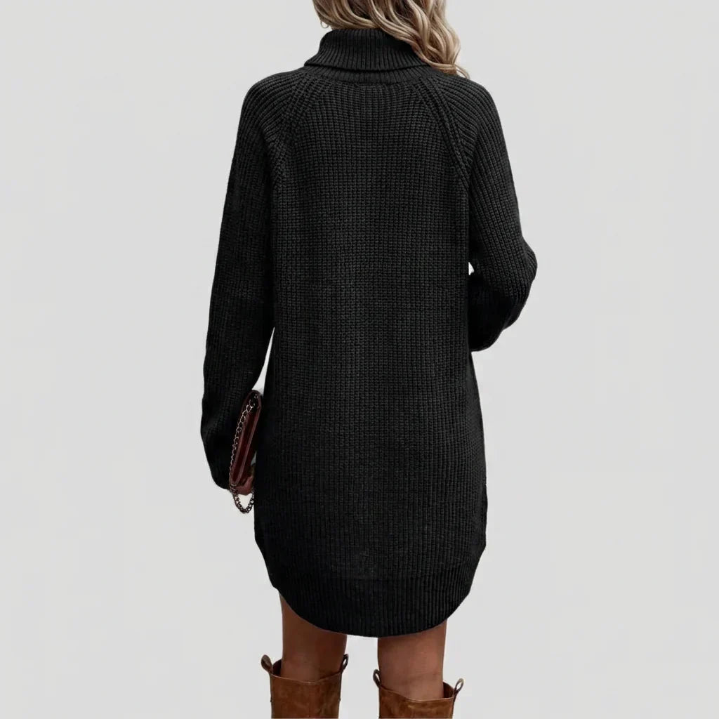 Frances | The Roll Neck Dress