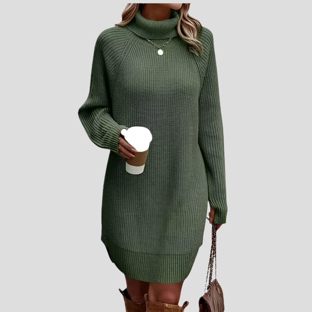 Frances | The Roll Neck Dress
