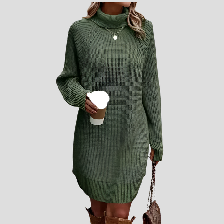 Frances | The Roll Neck Dress