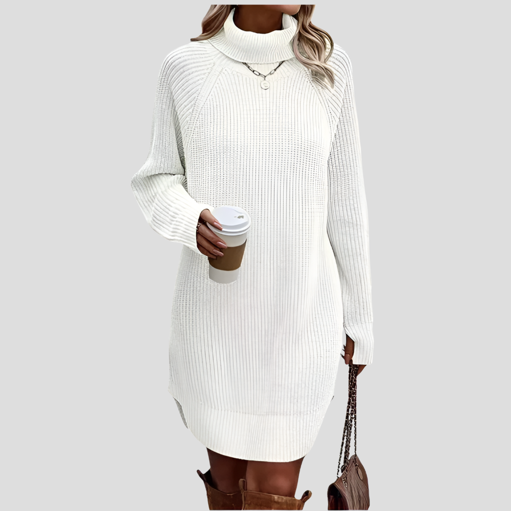 Frances | The Roll Neck Dress
