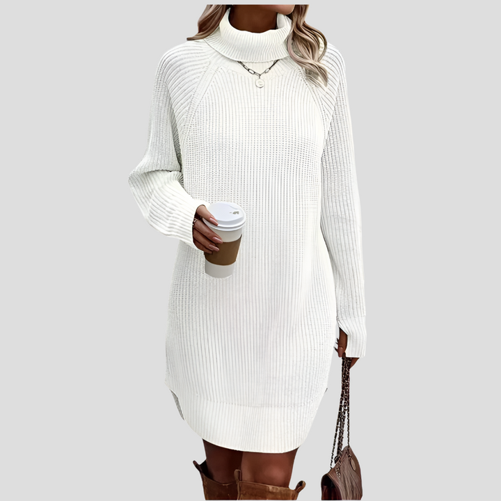 Frances | The Roll Neck Dress