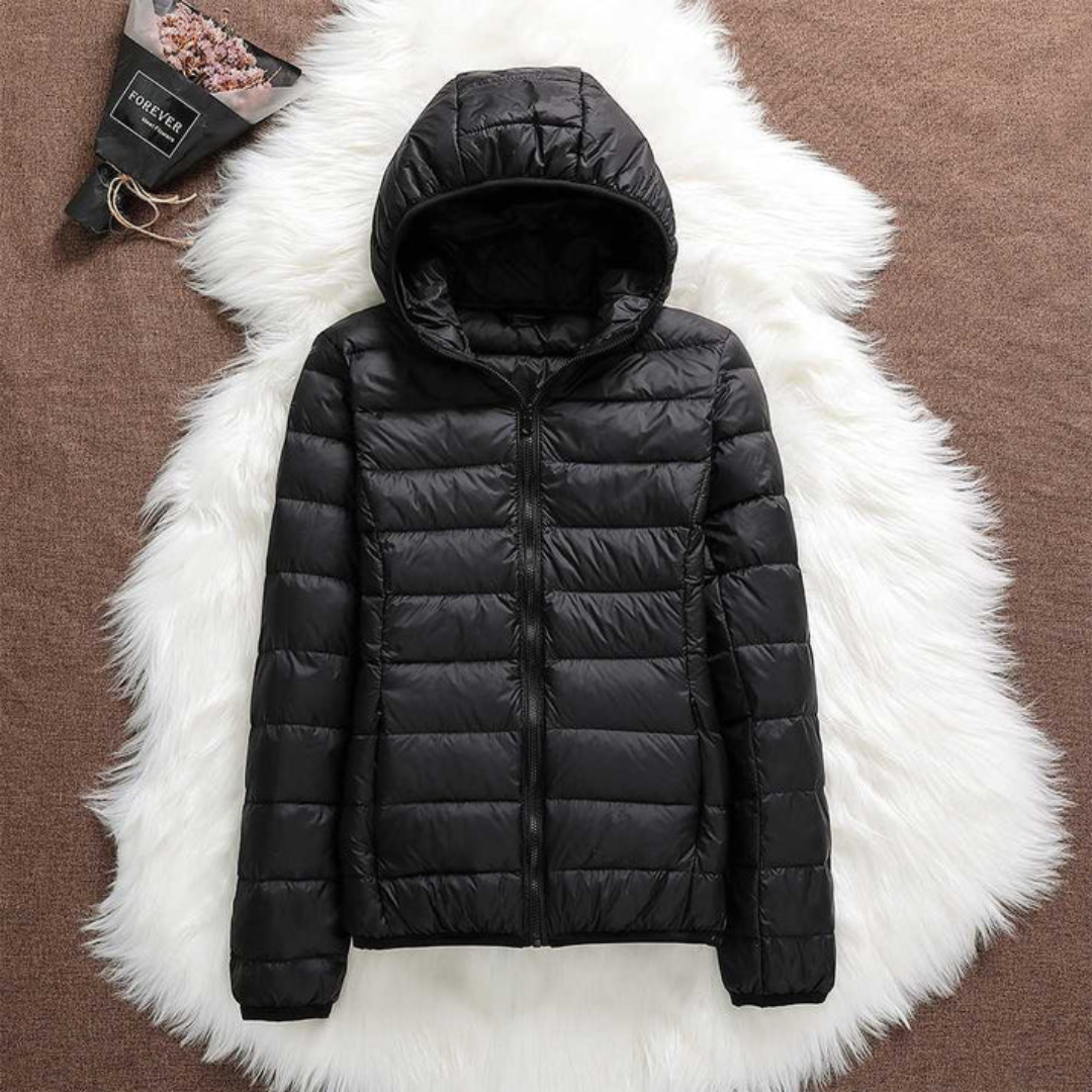 Metta Transitional Padded Jacket | Black