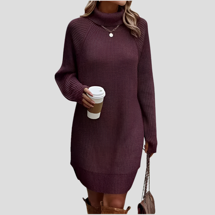 Frances | The Roll Neck Dress