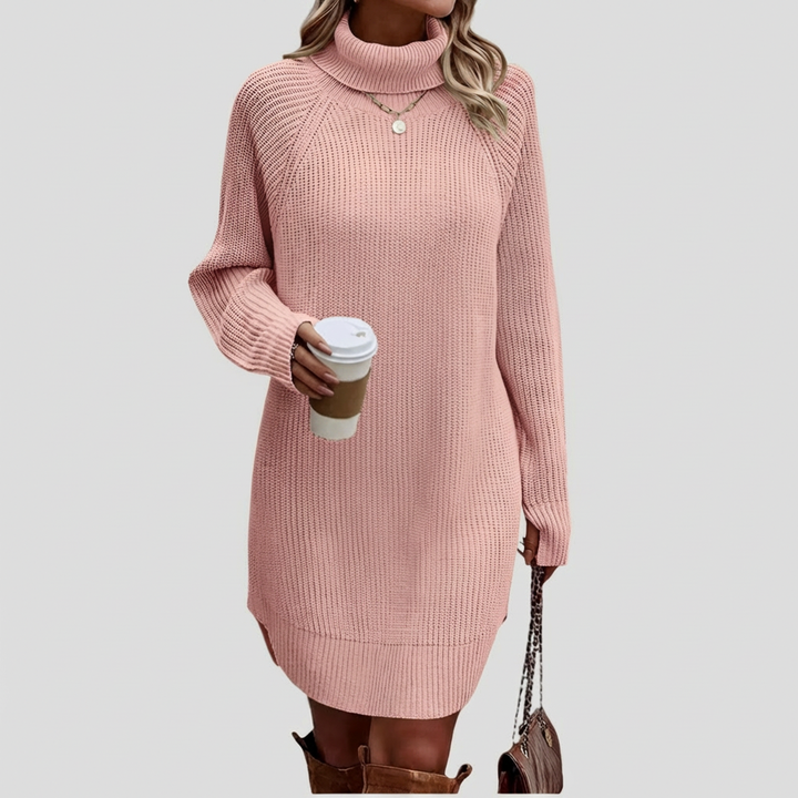 Frances | The Roll Neck Dress